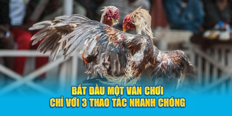 Bắt đầu một ván chơi chỉ với 3 thao tác nhanh chóng