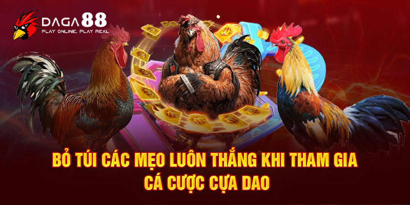 Xem trực tiếp đá gà cựa dao tại Đá gà 88 