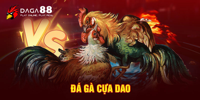 Khám phá đá gà cựa dao