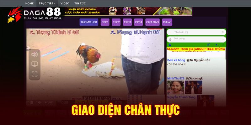 Giao diện xe live đá gà chân thực