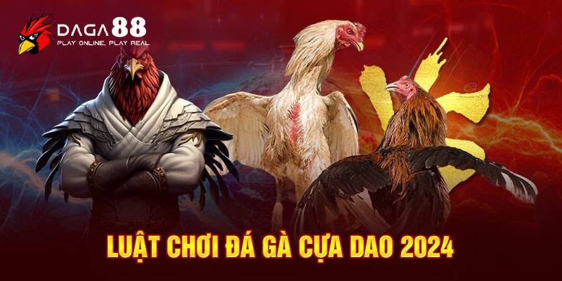 Luật chơi đá gà cựa dao 2024