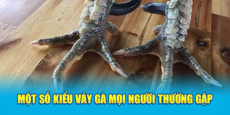 Một số kiểu vảy gà mọi người thường gặp