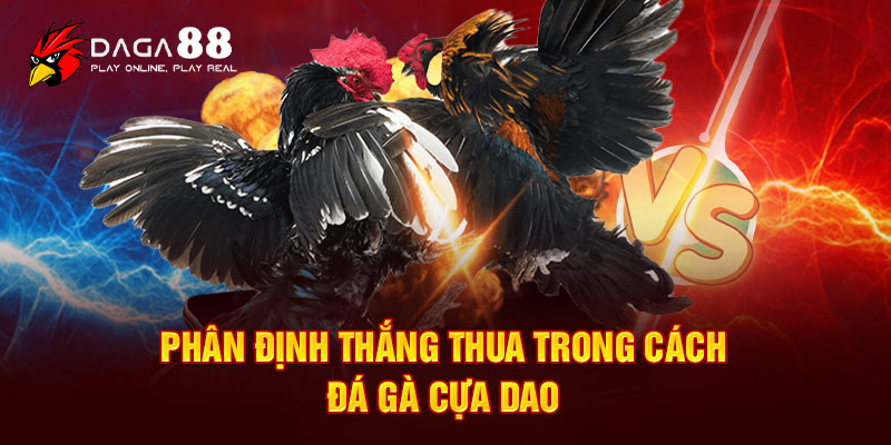 Đá gà cựa dao và cách nhận định thắng thua