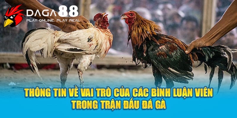 Thông tin về vai trò của các bình luận viên trong trận