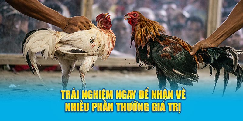 Trải nghiệm ngay để nhận về nhiều phần thưởng giá trị