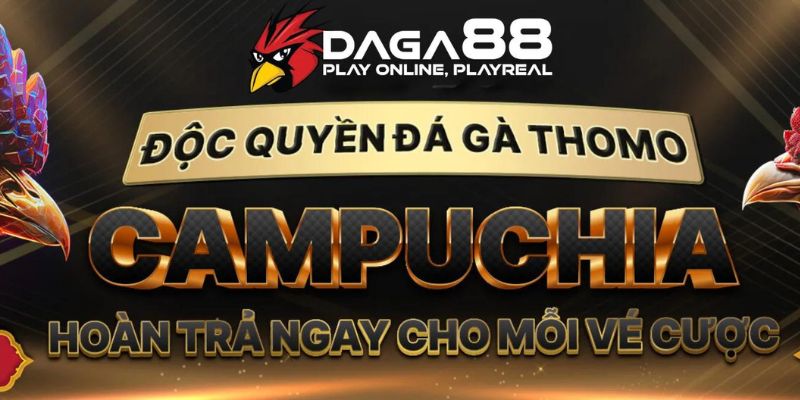 Daga88 là là trang web uy tín xem trực tiếp đá gà Thomo siêu mượt