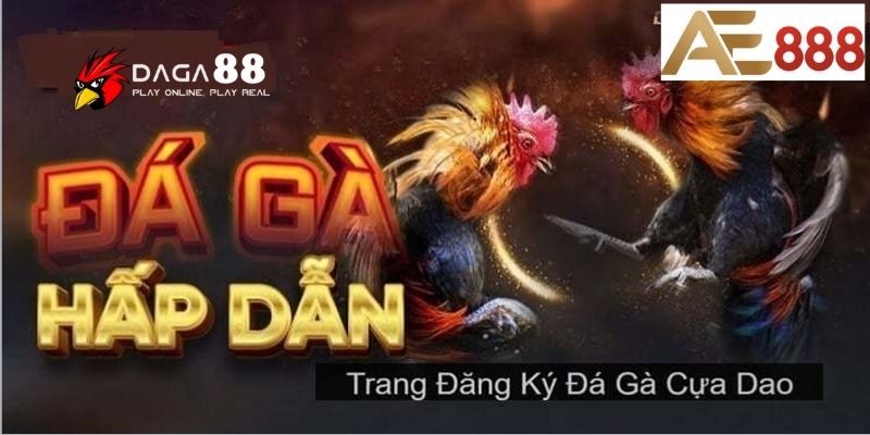 Trang đá gà AE888 uy tín, an toàn