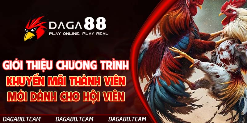 Giới thiệu chương trình khuyến mãi thành viên mới dành cho hội viên