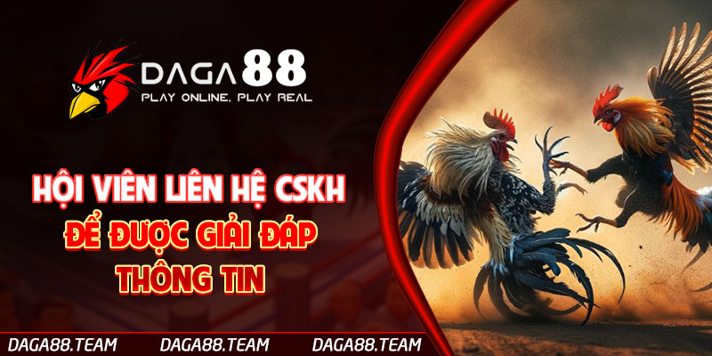 Hội viên liên hệ CSKH để được giải đáp thông tin