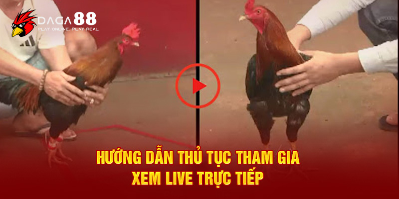 Hướng dẫn thủ tục tham gia xem live trực tiếp 