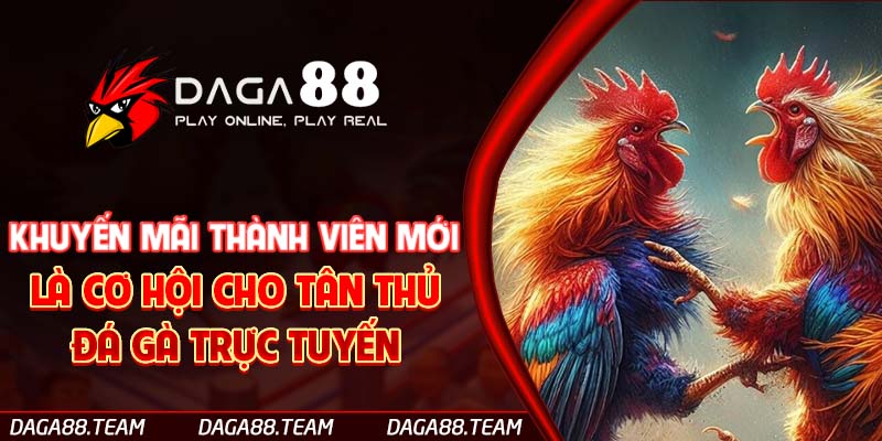 Khuyến mãi thành viên mới là cơ hội cho tân thủ đá gà trực tuyến