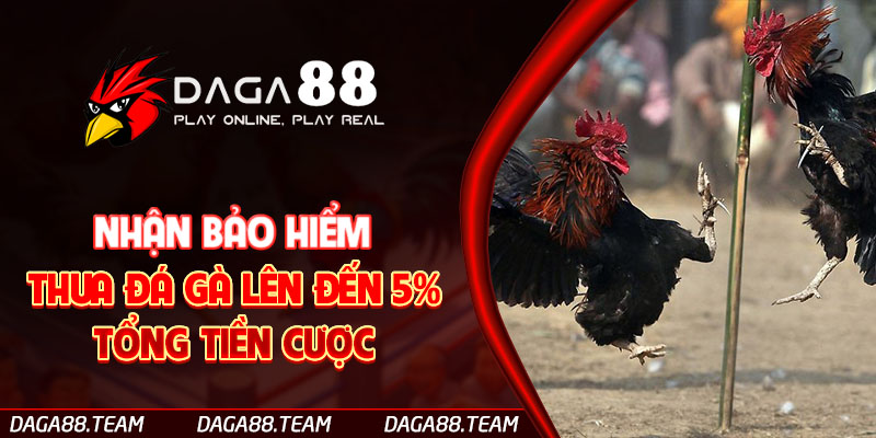 Nhận bảo hiểm thua đá gà lên đến 5% tổng tiền cược