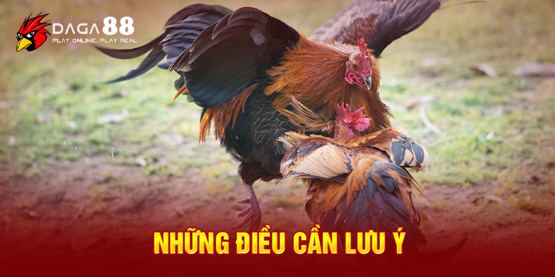 Những điều cần lưu ý khi tạo tài khoản