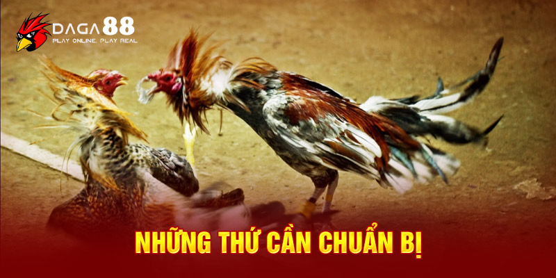 Những thứ cần chuẩn bị trước khi tạo tài Khoản Đá Gà Thomo 