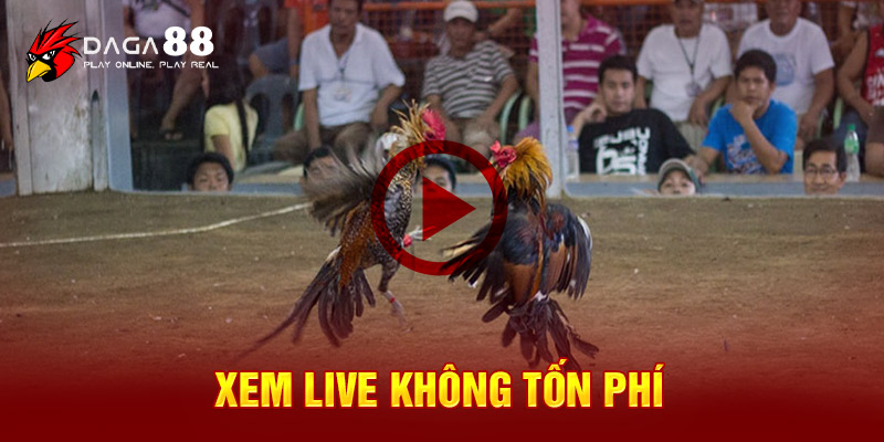 Xem live không tốn phí 