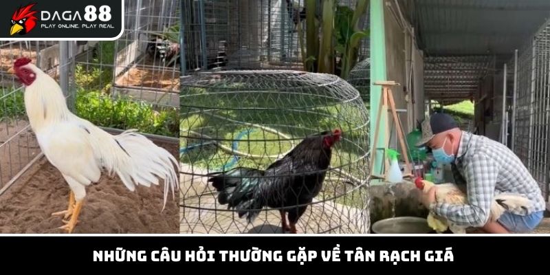 Các thắc mắc về anh Tân Rạch Giá