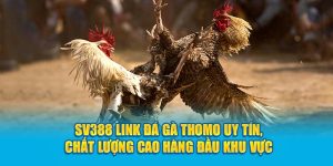 Sv388 Link Đá Gà Thomo