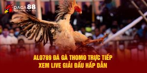 alo789 đá gà thomo trực tiếp