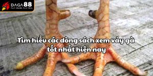 sách xem vảy gà