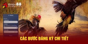 Các bước đăng ký chi tiết