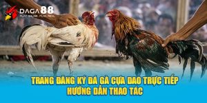 trang đăng ký đá gà cựa dao trực tiếp