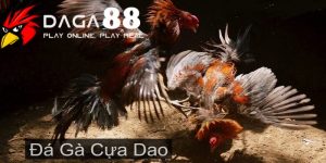 web đá gà cựa dao online