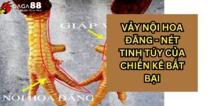 Vảy nội hoa đăng